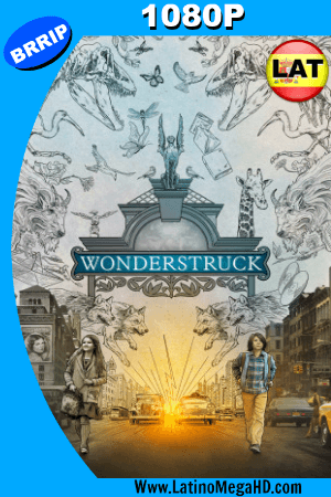 Wonderstruck: El Museo de las Maravillas (2017) Latino HD 1080P ()